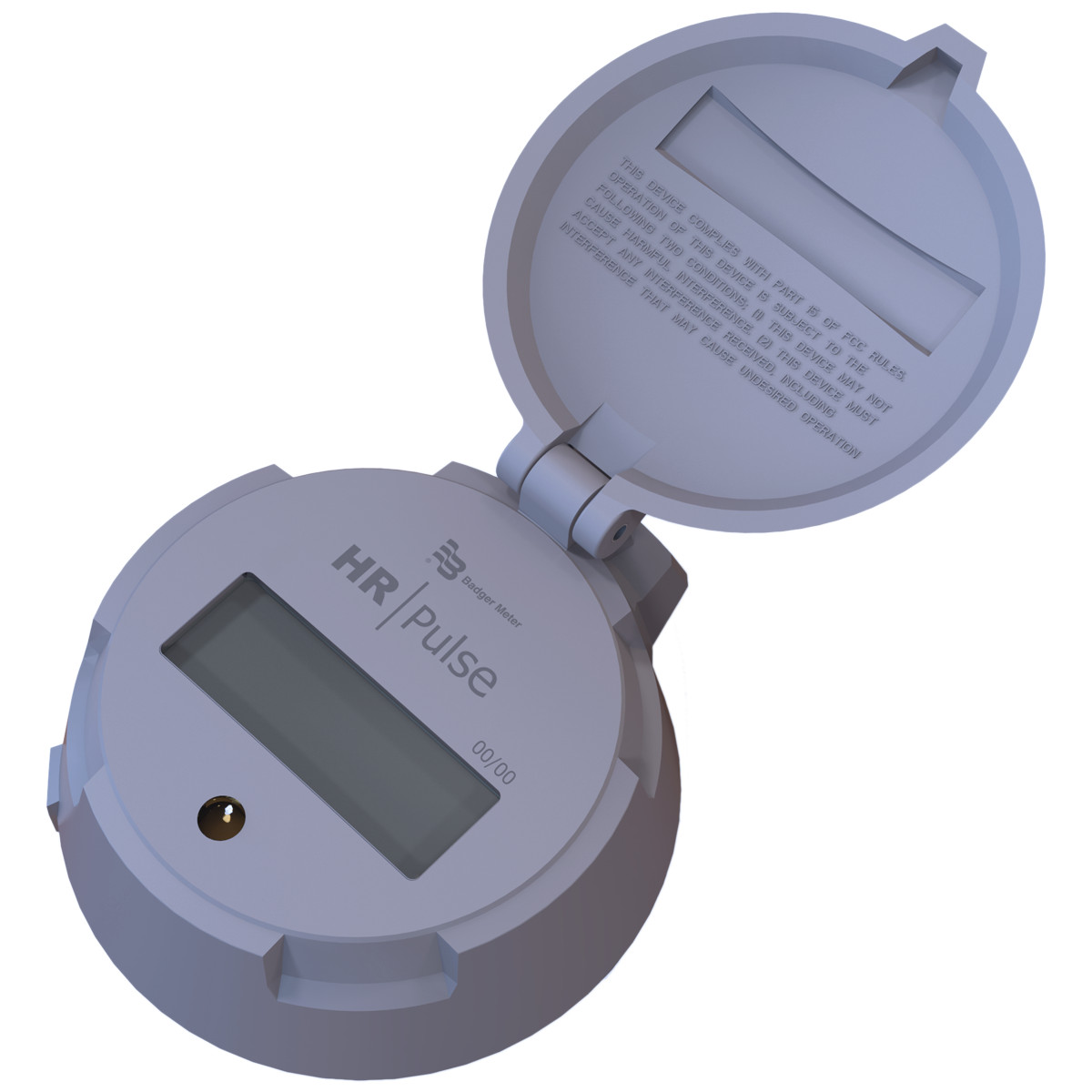 badger HR-LCD Pulse Scaled Register